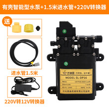 电动喷雾器双泵12V双核水泵高压隔膜泵果树高压直流打药水泵 220V有壳智能压力双泵+1.5米进水管