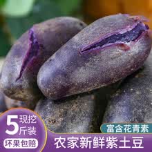新鲜紫薯 糖心红薯 烟薯25号 紫罗兰小紫薯  天目山小香薯5斤 黑土豆 紫色马铃薯 黑美人小土豆 紫土豆 9斤