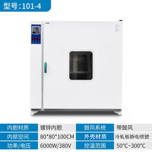 电热恒温鼓风干燥箱实验室试验高温小型烤箱烘箱工业烘干机 内部80*80*100内胆镀锌带鼓风