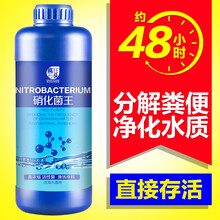 疯狂石头 硝化细菌 养鱼 水族用品 海水鱼缸净水剂 水族药剂消化菌 活性菌 水质稳定剂安定剂除氯气 硝化细菌1000ML