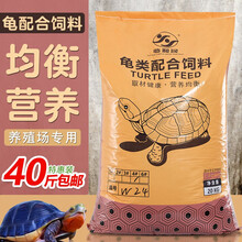 龟饲料石金龟龟粮高钙增色饲料半水龟草龟乌龟种龟幼龟苗幼水龟龟食 龟配合经济料3号（5.4mm左右）