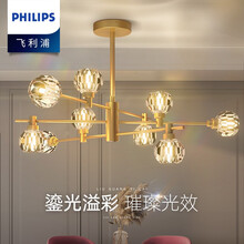 飞利浦吊灯 客厅吊灯卧室灯水晶吊灯轻奢灯具套餐现代简约分子灯灯具灯饰照明 鎏光溢彩 9头吊灯(不含光源)
