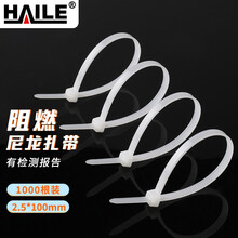 海乐（Haile）扎带 尼龙扎带 多功能透明理线带 自锁式阻燃扎带 2.5*100mm 白色1000根ZD-10-1000
