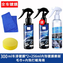 适用于 汽车镀晶水晶纳米剂喷雾式液体玻璃水车辆渡金套装快速封釉SN6918 3002瓶+256内饰翻新 车漆镀晶