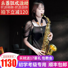 ANM降E调中音萨克斯风乐器 初学者专业演奏考级款包教会 N340升级考级款-金色【双筋配置+17豪礼】