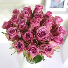 追逸紫色系玫瑰商务插花办公室装饰礼品生日鲜花水养鲜切花 紫色 去刺冷美人18支