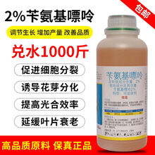 2%苄氨基嘌呤细胞分裂素6ba促花保果发芽多肉爆芽果树膨大剂 200ml