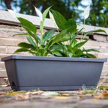 芷郁 花盆种菜盆家庭园艺种植阳台蔬菜种植盆长方形花盆 特大号灰黑色49.5X19X16CM
