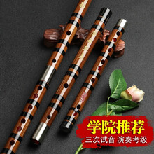 演奏笛子精制竹笛儿童初学零基础乐器CDE横笛专业大AGF降B调 大A调(全套配件)初学慎拍