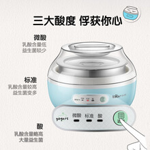 小熊（Bear） 酸奶机家用全自动迷你不锈钢内胆微电脑自制酸奶 蓝色 SNJ-C10H1