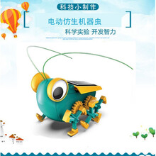 太阳能动力大眼虫蟋蟀 儿童科学实验拼装玩具科普DIY手工模型