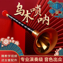 乌木花梨木唢呐全套专业初学者入门民族传统乐器大小号喇叭 花梨木D调黄碗+10重好礼
