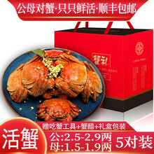 【活蟹】【公母对蟹】阳澄西湖大闸蟹鲜活现货生鲜螃蟹类海鲜水产礼盒装 公：2.5两+母：1.5两（5对）