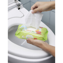 马桶盖消毒湿巾 日本洁厕湿巾消毒卫生间厕所马桶盖清洁湿纸巾便携抽取式