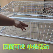 天落笼外鸽子四面撞门只进不出外抓鸽子神器捕养鸽笼鸟笼 无天窗加厚40*30*26四面