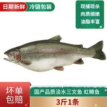 国产三文鱼4斤新鲜虹鳟金鳟鱼淡水三文鱼新鲜冷链