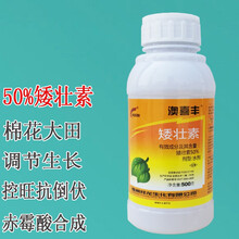 祥龙 澳喜丰 矮壮素水剂 植物生长调节剂 矮化剂 赤霉素合成控狂长防徒长抗风抗倒控旺调节剂 500克/瓶*1瓶