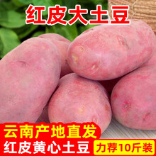 2021新鲜云南高原红皮黄心大土豆5/10斤农产品蔬菜大号洋芋马铃薯 带箱10斤