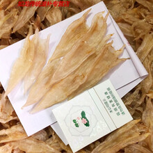伟博野生北海双背鳘鱼胶黄花胶 鱼肚鱼鳔孕妇滋补干货40-500g （小号）半斤装 约80-85个/头