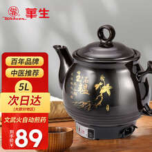 华生（washon）全自动煎药壶养生壶3L家用中药锅熬药罐电子煎药陶瓷中药壶壶熬药锅药膳电砂锅中药煲 黑陶款5L【次日达】