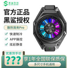 黑鲨2代游戏手柄（H66）吃鸡神器 蓝牙连接散热背夹Pro 手柄功能键自定义 适配主流游戏 黑鲨冰封散热背夹 Pro