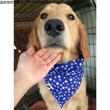 豆乐奇宠物狗狗口水巾哈士奇围巾金毛泰迪狗狗围脖宠物三角口水巾 白色 L-大型