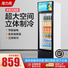 海力高 商用冷藏柜超市冰柜商场展示柜保鲜柜立式饮料柜冰箱商用冷柜 238  【21年全新升级款】
