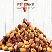 狗粮大包装100斤便宜通用型狗粮大包装100斤全犬种成犬粮拘粮饲料 6个月以上100斤牛肉味