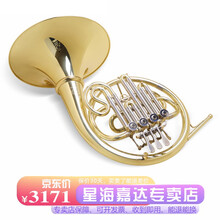 星海圆号乐器XFH-200型 专业圆号降B调 西洋乐器儿童成人通用 初学考级 西洋管弦乐团乐队演奏 加谱架款【配件齐全】