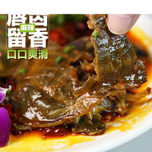 宜慧熟食甲鱼开袋即食 科学工艺低温卤制 真空营养风味不流失 五香甲鱼150克-200克(不辣)