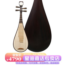 北京星海琵琶乐器 成人儿童考级专业演奏级琵琶民族乐器 阿诺古夷苏木材质 89115原木色