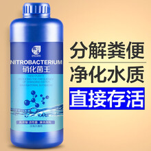 疯狂石头 硝化细菌 养鱼 水族用品 海水鱼缸净水剂 水族药剂消化菌 活性菌 水质稳定剂安定剂除氯气  硝化细菌1000ml【分解粪便、净化水质】