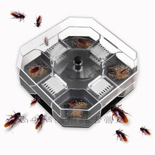 蟑螂捕捉器家用诱捕除杀灭防蟑螂屋全窝端 4个捕捉器(送60包诱饵) 新升级带诱气孔