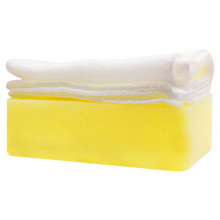 TEXICOTE澳洲木地板护理精油实木复合地板清洁剂家用红木家具保养打蜡天然橙油强力去污防滑抛光翻新 海绵-赠品勿拍