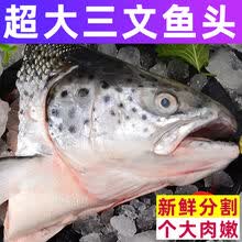 三文鱼头新鲜超大个冰鲜三文鱼头骨真空包装烧烤炖汤冷冻鱼头 2只 单只400-500克