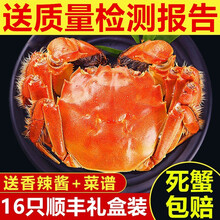 【活蟹】蟹品煌大闸蟹现货 超大 鲜活特大螃蟹 六月黄螃蟹全公母蟹 生鲜活蟹水产 礼盒装 大闸蟹3.7-4.0两12只装