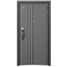 挺固 莱茵河 甲级防盗门进户门可定制 标配K8指纹锁