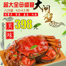 【活蟹】阳澄凯馨大闸蟹 现货鲜活特大螃蟹 活蟹超大全母蟹活体 海鲜水产生鲜礼盒 全母蟹套餐4.0-4.3两   八只礼盒装