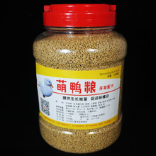 鸭粮鸭子饲料细颗粒粮柯尔鸭饲料宠物鸭可达鸭子颗粒饲料粮科尔鸭