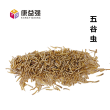 康益强 冷备药材1 精品好货干净无杂无硫熏中药材符合药典标准的中药材中药饮片道地药材 五谷虫 100g