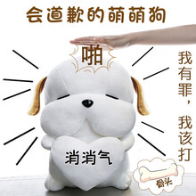 520情人节生日道歉礼物送女友朋友老婆哄女友神器实用异地恋 彩袋-呆萌狗35cm蜡笔小新声音(消消气).拍打会