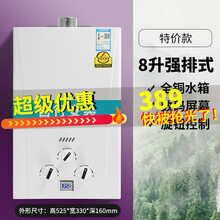 严选好太太燃气热水器家用天然气强排即热式液化气煤气10升12升14升16L冰宴 8升冲销量不送花洒和气管+不安装 只限广东广西使用 天然气