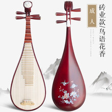 红木琵琶乐器初学入门成人儿童弹拔琵琶演奏民族乐器琵琶配件考级 成人演奏款鸟语花香【送教程+全套+10年保修】