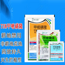 草忧愁 75%甲嘧磺隆甲嘧磺蕯甲密磺隆 铁路公路墓地机场除草剂杀树剂除灌木10克 50克杀木竹子农药 10克*10袋 新货当天配发