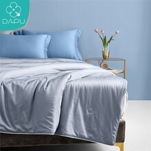 大朴（DAPU）被芯 A类大豆纤维夏凉被 60支纯棉抗菌夏被子 空调被 灰 150*210cm
