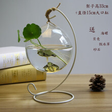 悬挂小鱼缸迷你缸办公桌面创意玻璃小型金鱼缸水族箱 家用斗鱼缸 28白架+15cm大口缸+装饰