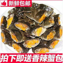 活鲜【冷链运输】江苏大闸蟹鲜活现货活体六月黄螃蟹特大公母蟹礼盒装罗莫利得 2.3-2.8两3公3母