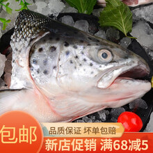 虹鳟三文鱼头超大冰鲜海鲜水产炖汤食材鱼头 当天现切三文鱼头(不去腮) 4只装