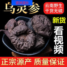 伟博乌灵参中药材 野生乌灵参 鸡枞蛋 雷震子 吊金钟 乌苓参 精选【30克】