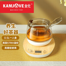 金灶（KAMJOVE）迷你养生壶 多功能电脑微型煮茶器 高硼硅玻璃内胆茶水分离茶壶 A-28 500ml